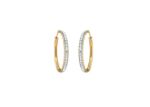 Gold Plated | CZ Studded Hoop Earrings