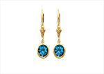 Gold Plated Gemstone Dangle Earring