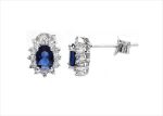 Rhodium Plated | Gemstone Earrings